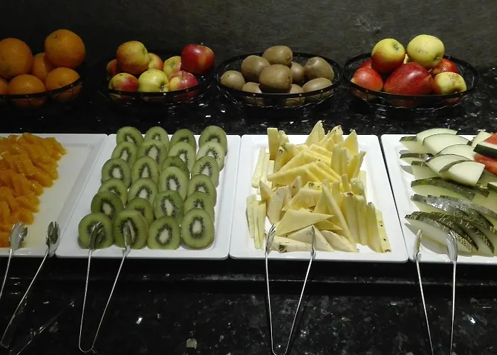 Iberik Santo Domingo Plaza 酒店 奥维耶多